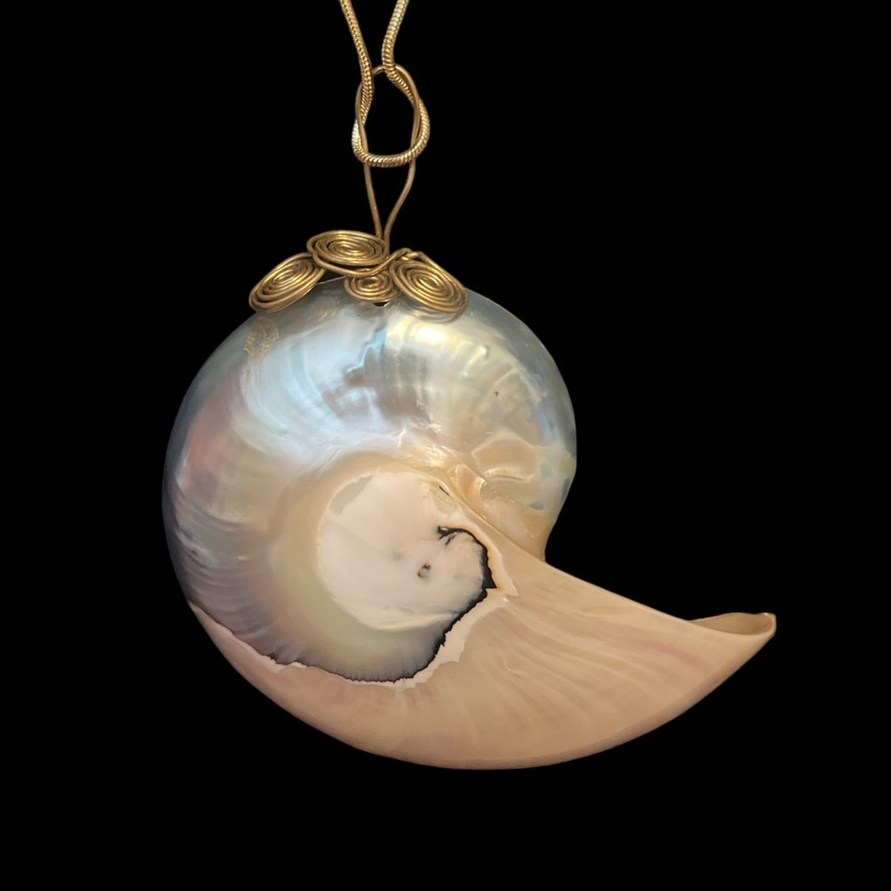 90’s Large natural NAUTILUS SHELL necklace handmade